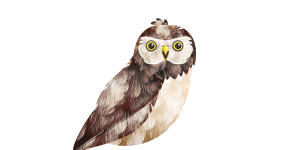 Owls Small