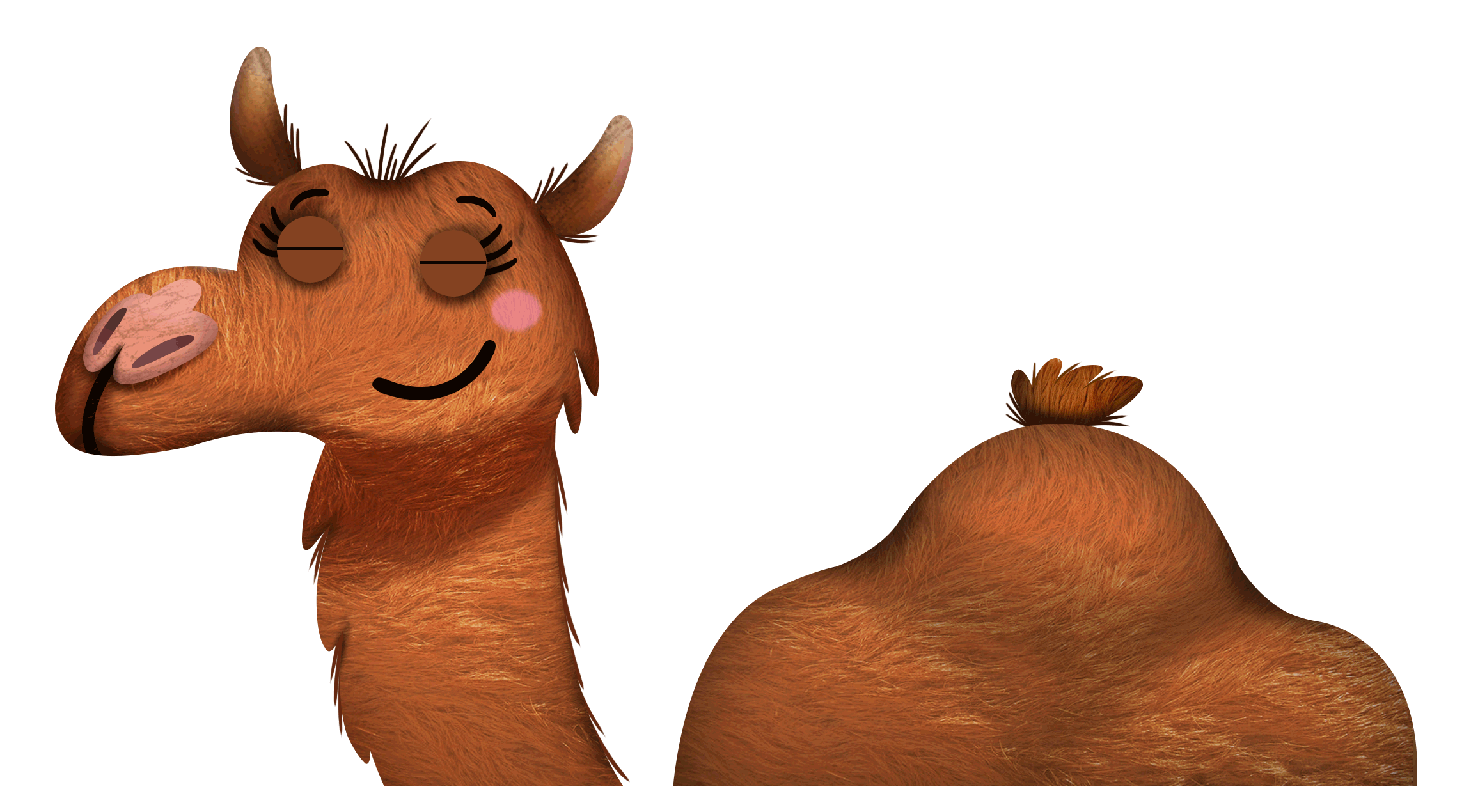 Camel