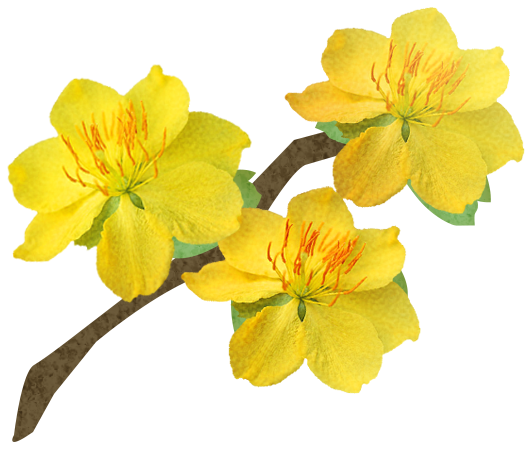 Ella App1 Vtn Apricotblossom