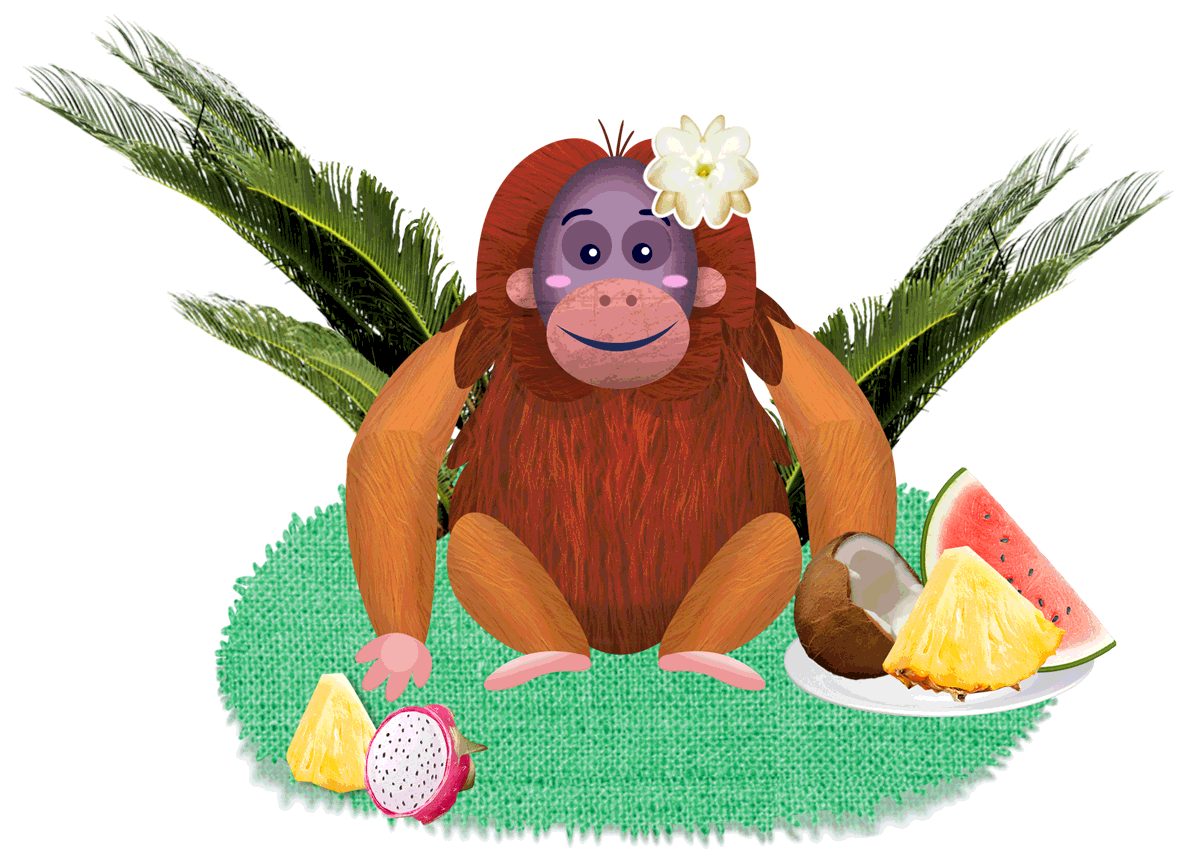Orangutan 2